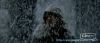 Filename=Le_Pacte_des_Loups02.jpg
Filesize=69KB
Dimensions=479x208
Date added=Feb 23, 2007 Le_Pacte_des_Loups02.jpg
