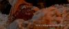 Filename=Le_Pacte_des_Loups05.jpg
Filesize=75KB
Dimensions=479x208
Date added=Feb 23, 2007 Le_Pacte_des_Loups05.jpg